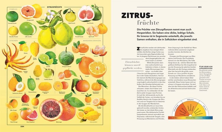 Produktbild: Universum des Wissens