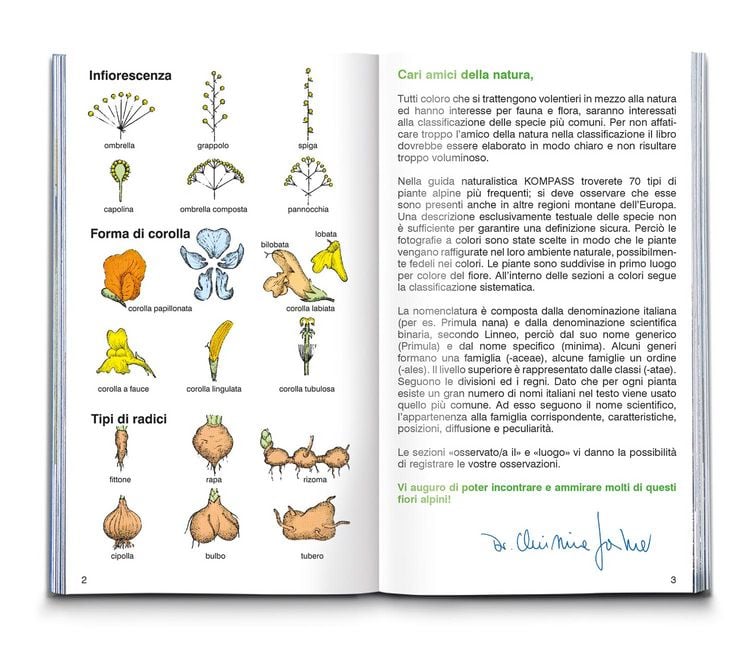 Produktbild: Fiori alpini