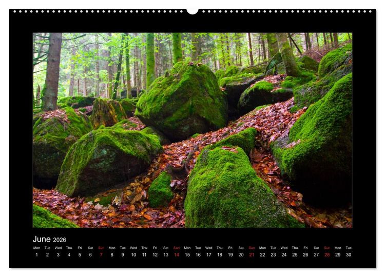 Produktbild: The Black Forest - UK Version (High Quality Premium Wall Calendar 2026 DIN A2 landscape),CALVENDO 12 Month Wall Calendar