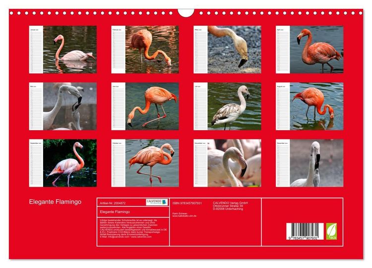 Produktbild: Elegante Flamingo (Wandkalender 2026 DIN A3 quer), CALVENDO Monatskalender