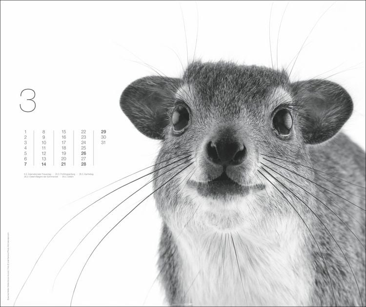 Produktbild: Black & White Animals 2027