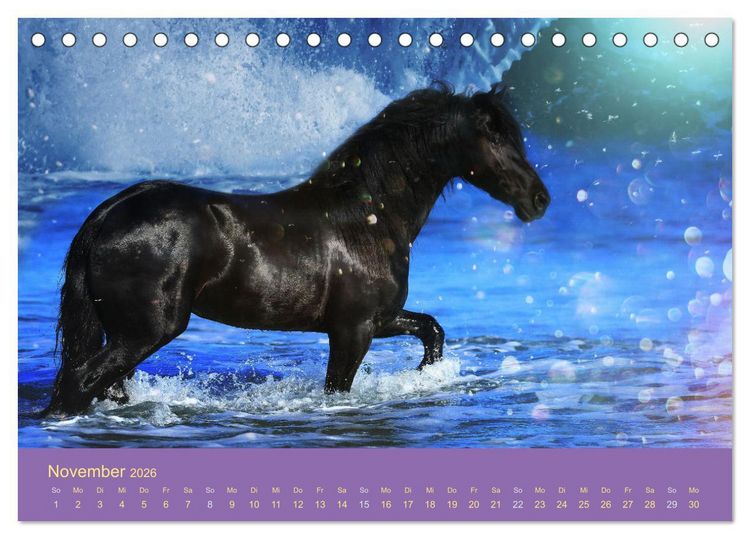 Produktbild: Von der Magie der Pferde (Tischkalender 2026 DIN A5 quer), CALVENDO Monatskalender