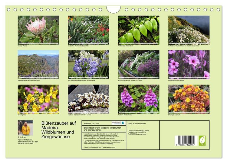 Produktbild: Bl&uuml;tenzauber auf Madeira. Wildblumen und Ziergew&auml;chse (Wandkalender 2027 DIN A4 quer), CALVENDO Monatskalender