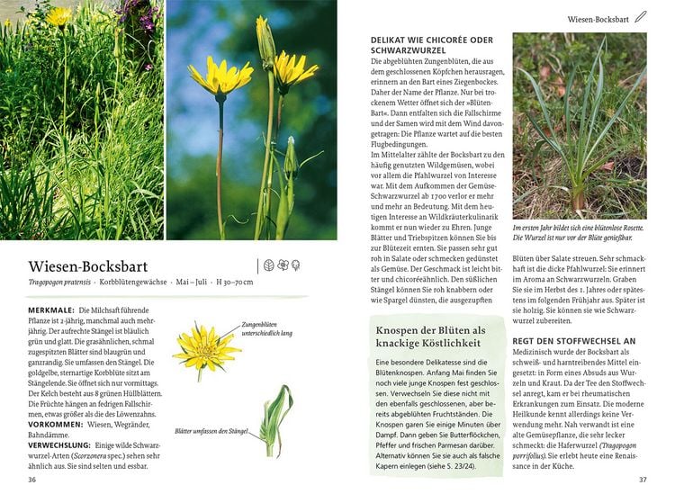 Produktbild: Unsere essbaren Wildpflanzen