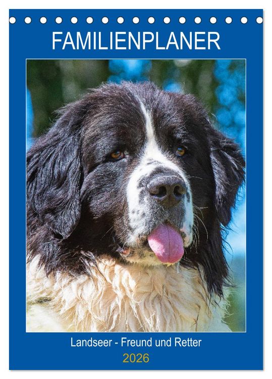 Produktbild: Familienplaner Landseer - Freund und Retter (Tischkalender 2026 DIN A5 hoch), CALVENDO Monatskalender