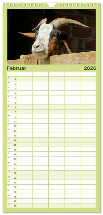 Produktbild: Familienplaner 2026 - Wer zickt denn da? Mit Ziegen durchs Jahr mit 5 Spalten (Wandkalender, 21 x 45 cm) CALVENDO