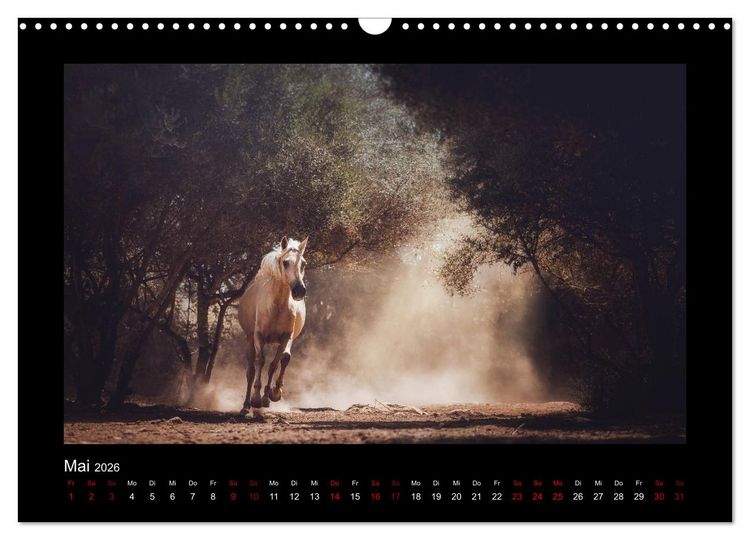 Produktbild: Die Faszinierende Welt der Pferde (Wandkalender 2026 DIN A3 quer), CALVENDO Monatskalender