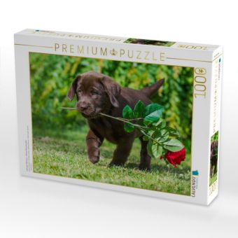Produktbild: CALVENDO Puzzle Labrador Retriever - Kleiner Rosenkavalier | 1000 Teile Lege-Gr&ouml;&szlig;e 64x48cm Foto-Puzzle f&uuml;r gl&uuml;ckliche Stunden