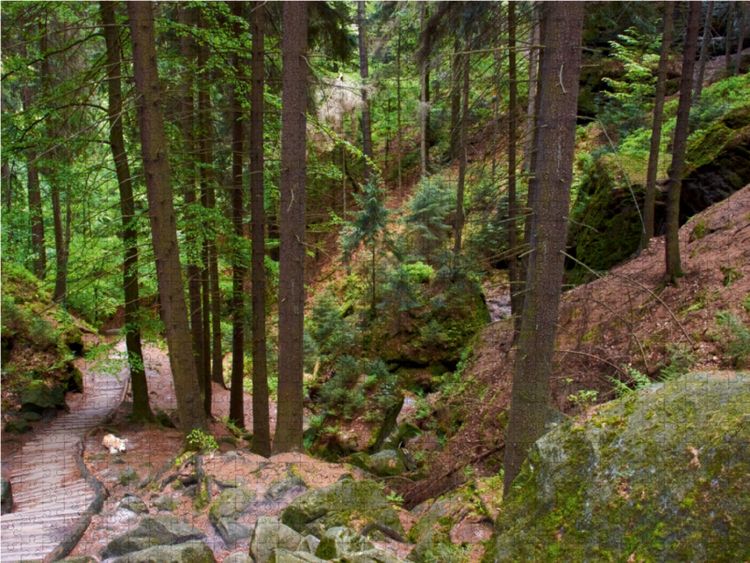 Produktbild: CALVENDO Puzzle Schwedenl&ouml;cher im Elbsandsteingebirge 1000 Teile Lege-Gr&ouml;&szlig;e 64 x 48 cm Foto-Puzzle Bild von Veronika Rix