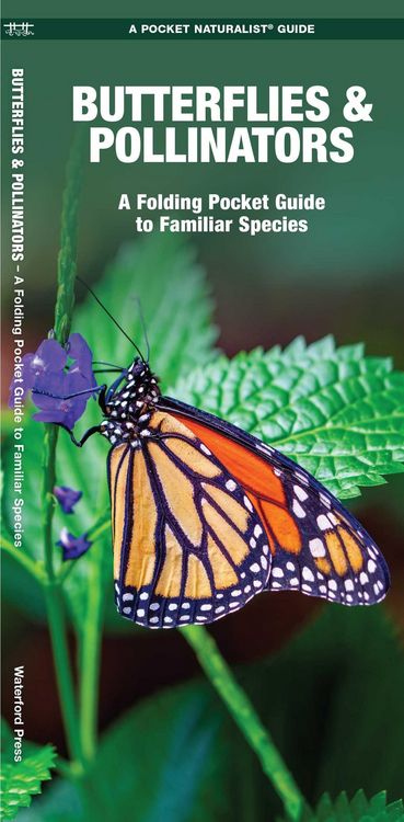 Produktbild: Butterflies & Pollinators