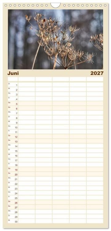 Produktbild: Familienplaner 2027 - Verbl&uuml;hte Sch&ouml;nheiten mit 5 Spalten (Wandkalender, 21 x 45 cm) CALVENDO