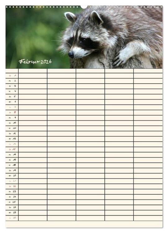 Produktbild: Waschb&auml;ren Familienplaner (Wandkalender 2026 DIN A2 hoch), CALVENDO Monatskalender
