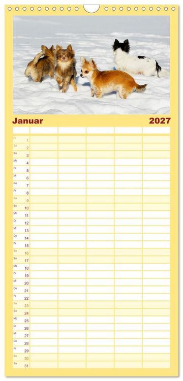 Produktbild: Familienplaner 2027 - Enegieb&uuml;ndel Chihuahua - Temperament auf vier Pfoten mit 5 Spalten (Wandkalender, 21 x 45 cm) CALVENDO