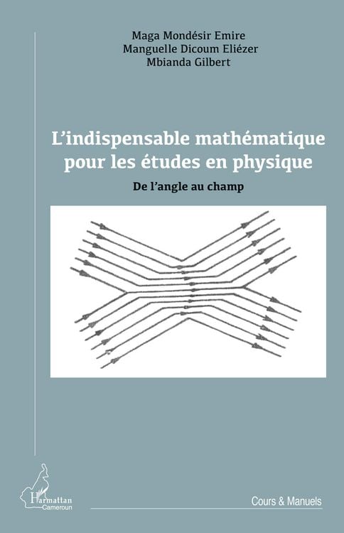 Produktbild: L'indispensable math&eacute;matique pour les &eacute;tudes en physique