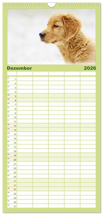 Produktbild: Familienplaner 2026 - Chesley Kleiner Hund grosse Abenteuer mit 5 Spalten (Wandkalender, 21 x 45 cm) CALVENDO