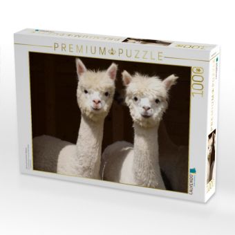 Produktbild: CALVENDO Puzzle Die Unzertrennlichen Alpakas | 1000 Teile Lege-Gr&ouml;&szlig;e 64x48cm Foto-Puzzle f&uuml;r gl&uuml;ckliche Stunden