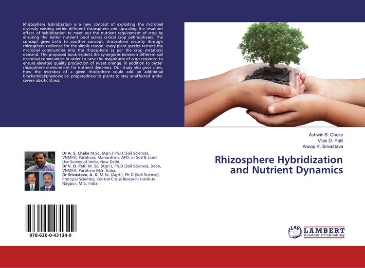 Produktbild: Rhizosphere Hybridization and Nutrient Dynamics