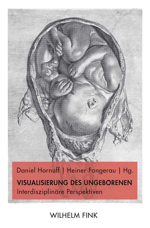Produktbild: Visualisierung des Ungeborenen