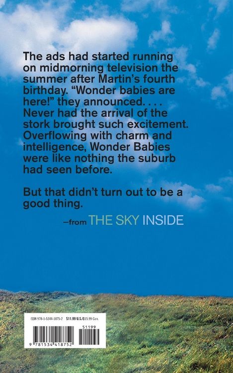 Produktbild: The Sky Inside