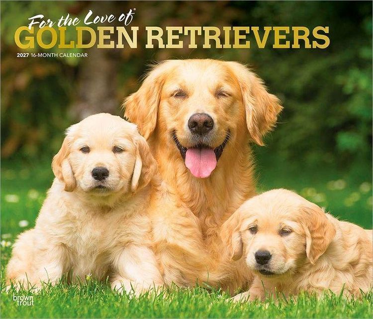 Produktbild: For the Love of Golden Retrievers 2027 14 X 24 Inch (Hanging) Monthly Deluxe Wall Calendar Foil Stamped Cover Plastic-Free