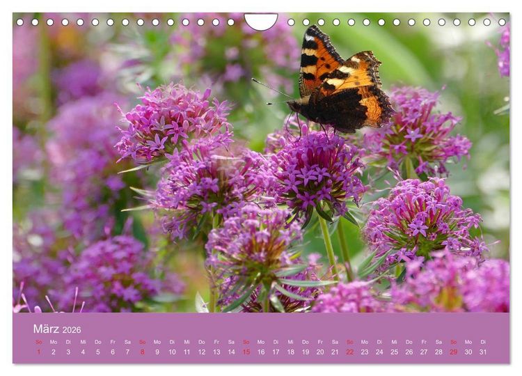 Produktbild: Fauna trifft Flora - Tierischer Besuch im Pflanzenreich (Wandkalender 2026 DIN A4 quer), CALVENDO Monatskalender