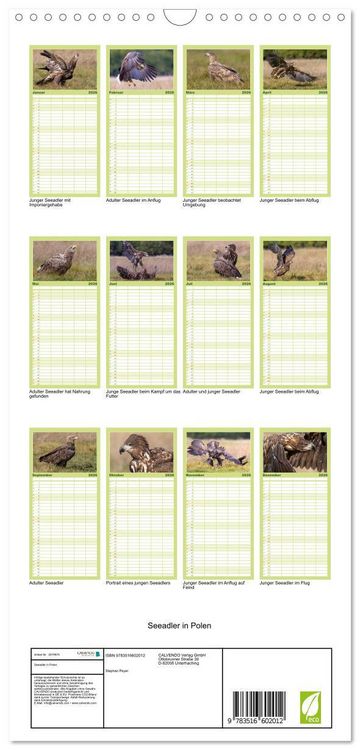 Produktbild: Familienplaner 2026 - Seeadler in Polen mit 5 Spalten (Wandkalender, 21 x 45 cm) CALVENDO