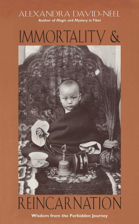 Produktbild: Immortality and Reincarnation