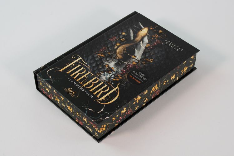 Produktbild: Flammensturm (Band 1) - Firebird