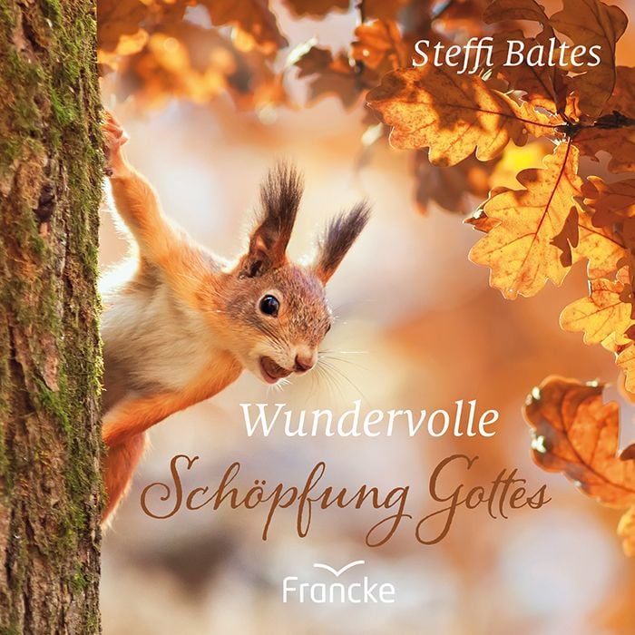 Produktbild: Wundervolle Sch&ouml;pfung Gottes