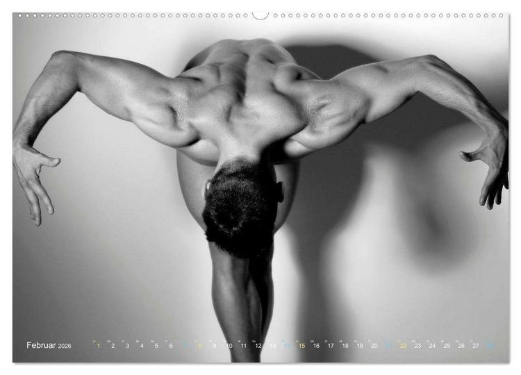 Produktbild: M&auml;nner... backview (Wandkalender 2026 DIN A2 quer), CALVENDO Monatskalender