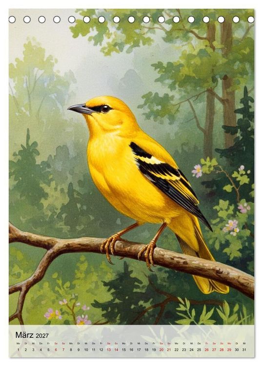 Produktbild: V&ouml;gel, die man selten sieht (Tischkalender 2027 DIN A5 hoch), CALVENDO Monatskalender