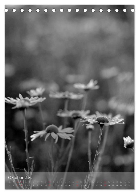 Produktbild: Monochrome Bl&uuml;ten - In Schwarz-Wei&szlig; Bildern durch das Jahr (Tischkalender 2026 DIN A5 hoch), CALVENDO Monatskalender