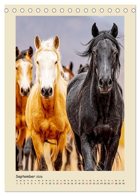 Produktbild: Amerikanische Mustangs. Symbole f&uuml;r Freiheit und Pioniergeis (Tischkalender 2026 DIN A5 hoch), CALVENDO Monatskalender