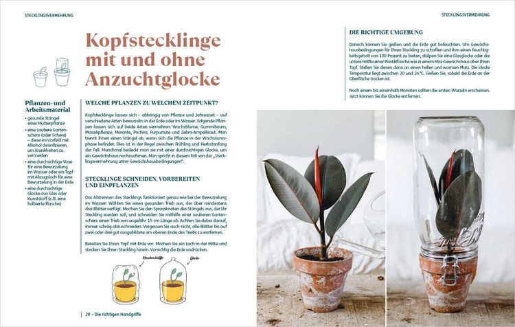 Produktbild: So einfach ist Pflanzenvermehrung. Die besten Methoden f&uuml;r 60 Nutz- und Zimmerpflanzen.