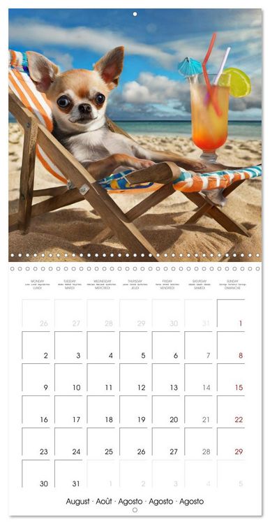 Produktbild: Chilling Chihuahuas (Wall Calendar 2027 12 &times; 12 Inch) CALVENDO 12 Month Wall Calendar