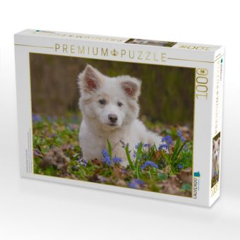 Produktbild: CALVENDO Puzzle Islandhundwelpe im Scillawald | 1000 Teile Lege-Gr&ouml;&szlig;e 64x48cm Foto-Puzzle f&uuml;r gl&uuml;ckliche Stunden