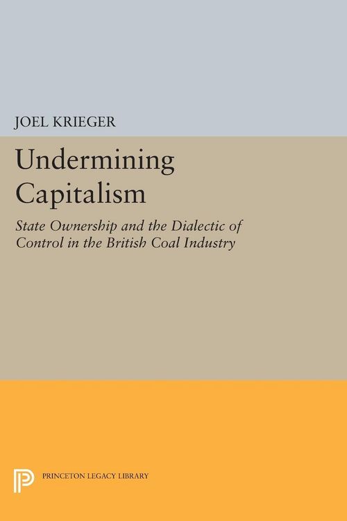 Produktbild: Undermining Capitalism