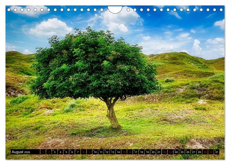 Produktbild: Norderneyer Ansichten (Wandkalender 2026 DIN A4 quer), CALVENDO Monatskalender