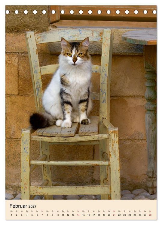 Produktbild: Katzen von Rhodos (Tischkalender 2027 DIN A5 hoch), CALVENDO Monatskalender