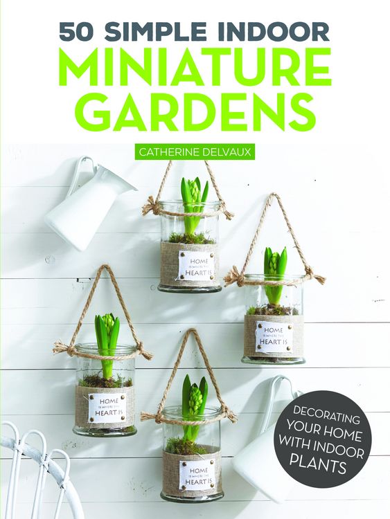 Produktbild: 50 Simple Indoor Miniature Gardens