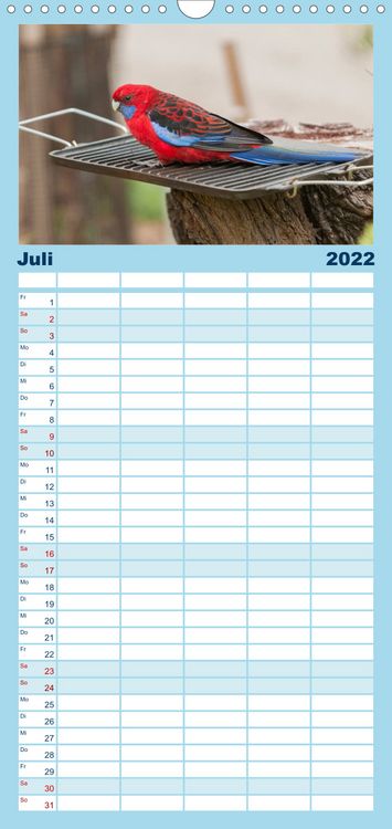 Produktbild: Familienplaner V&ouml;gel von "Down Under" Australien (Wandkalender 2022 , 21 cm x 45 cm, hoch)