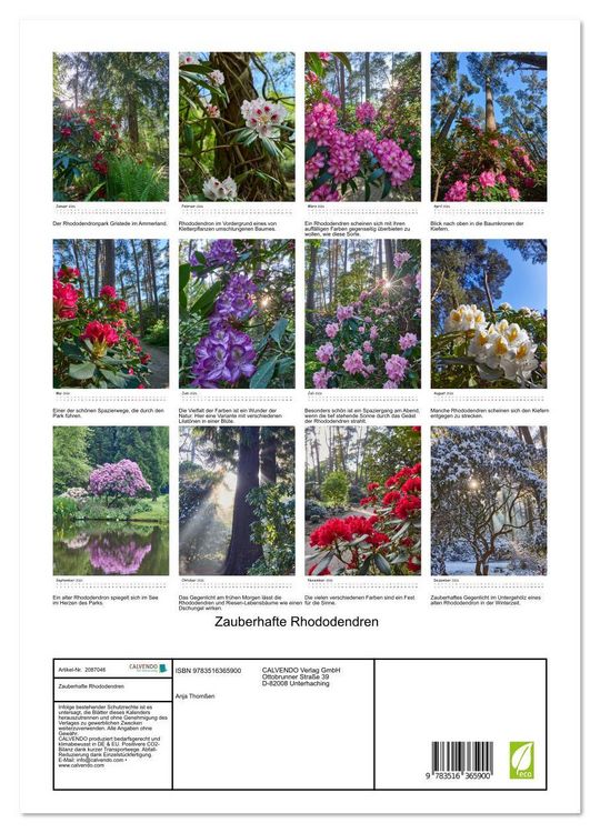 Produktbild: Zauberhafte Rhododendren (Wandkalender 2026 DIN A3 hoch), CALVENDO Monatskalender