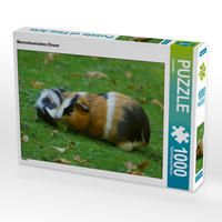 Produktbild: CALVENDO Puzzle Meerschweinchen Dinner 1000 Teile Lege-Gr&ouml;&szlig;e 64 x 48 cm Foto-Puzzle Bild von Kattobello