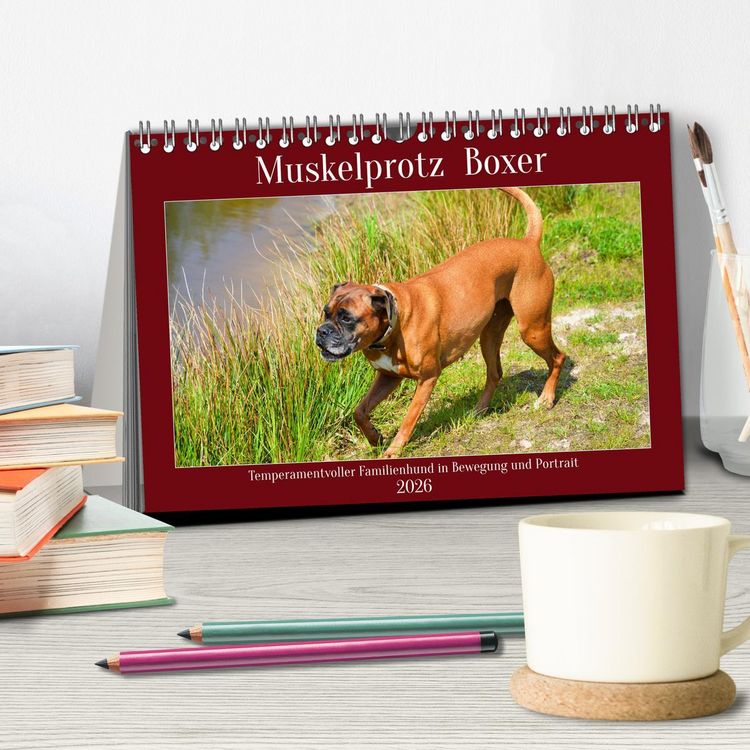 Produktbild: Muskelprotz Boxer (Tischkalender 2026 DIN A5 quer), CALVENDO Monatskalender