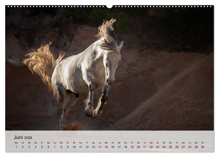 Produktbild: Pferde 2026 Kraft und Anmut (hochwertiger Premium Wandkalender 2026 DIN A2 quer), Kunstdruck in Hochglanz