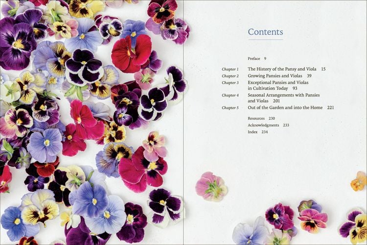 Produktbild: Pansies