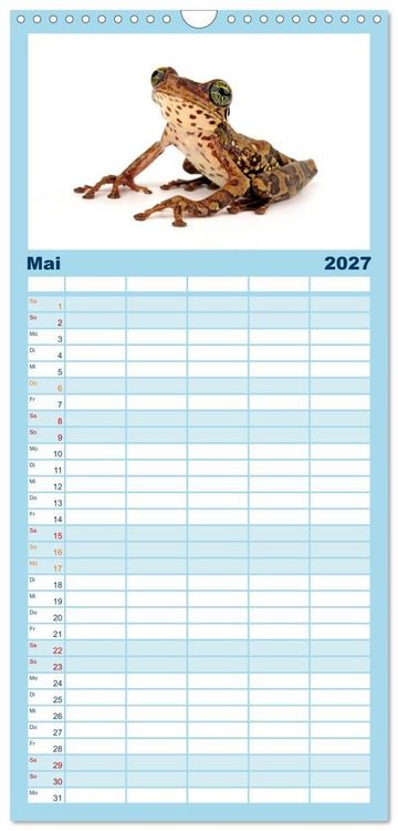 Produktbild: Familienplaner 2027 - Farbenpracht der Fr&ouml;sche mit 5 Spalten (Wandkalender, 21 x 45 cm) CALVENDO