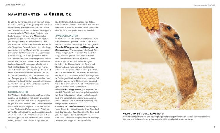 Produktbild: Hamster