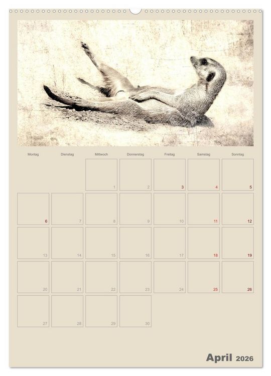 Produktbild: Lustige Erdm&auml;nnchen (Wandkalender 2026 DIN A2 hoch), CALVENDO Monatskalender