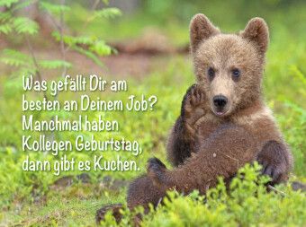 Produktbild: CALVENDO Puzzle Was gef&auml;llt Dir am besten an Deinem Job? | 2000 Teile Lege-Gr&ouml;&szlig;e 90x67cm Foto-Puzzle f&uuml;r gl&uuml;ckliche Stunden